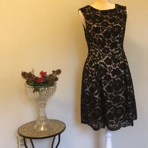 Sophisticated and elegant! Black lace Vince Camuto